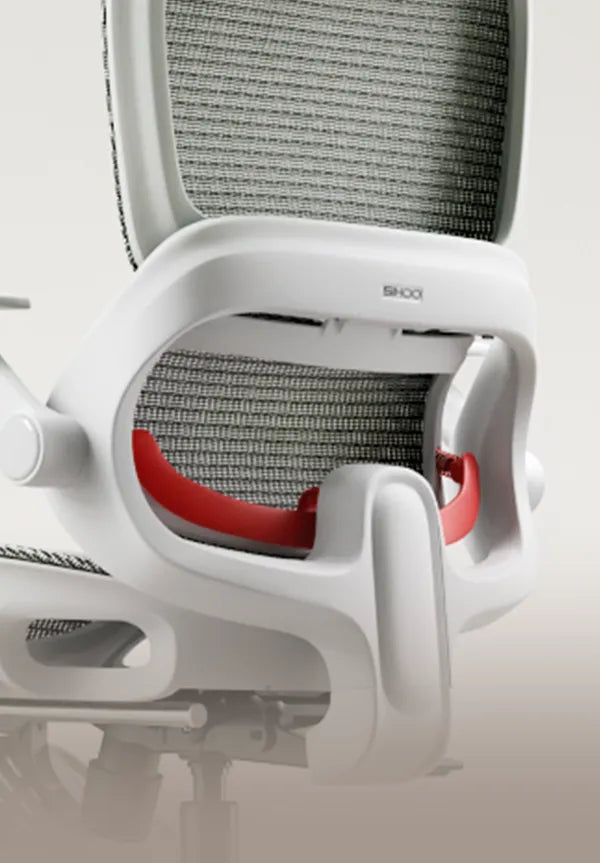 Sihoo B100 Ergonomic Office Chair With Flip-Up Armrest