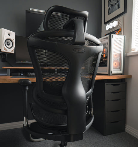 Best Sihoo Doro C300 Ergonomic Chairs