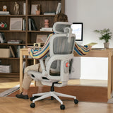B300 Pro Ergonomic Office Chair