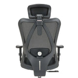 This is the product picture of m18 classic office chair