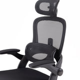 This is the product picture of M102C office chair