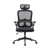 This is the product picture of M102C office chair