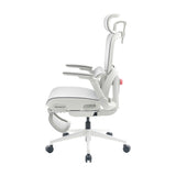 Sihoo B300 Pro Ergonomic Office Chair