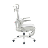 Sihoo B300 Pro Ergonomic Office Chair