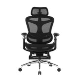 Sihoo Doro C300 Pro Ergonomic Office Chair