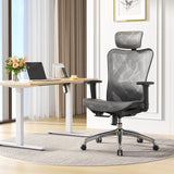 Sihoo M57 Classic Office Chair