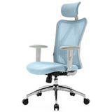 Sihoo M18 Classic Office Chair