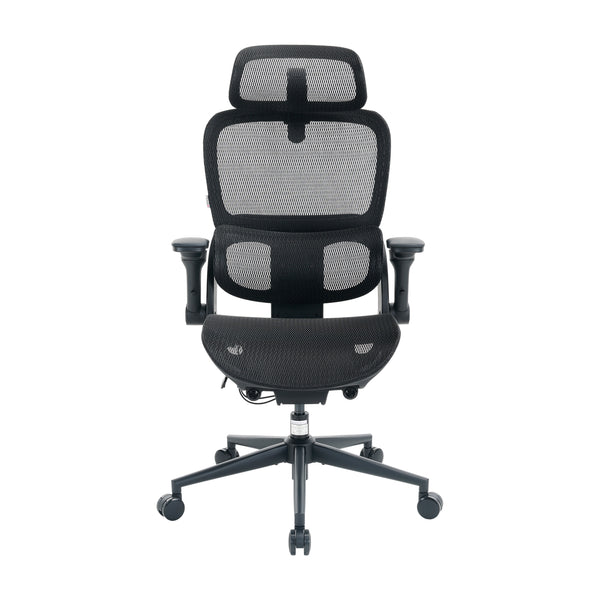 B300 Pro Ergonomic Office Chair