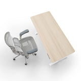 D03 Electric Adjustable Standing Desk