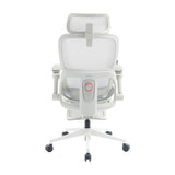 Sihoo B300 Pro Ergonomic Office Chair