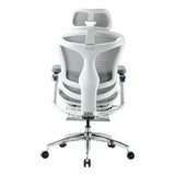 Sihoo Doro C300 Pro Ergonomic Office Chair