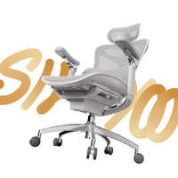 Doro C300