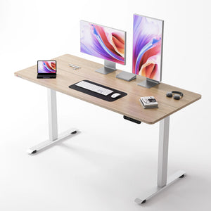 D03 Standing Desk