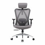 Sihoo M18 Classic Office Chair