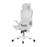 Sihoo B100 Ergonomic Office Chair With Flip-Up Armrest