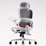 Sihoo B100 Ergonomic Office Chair With Flip-Up Armrest