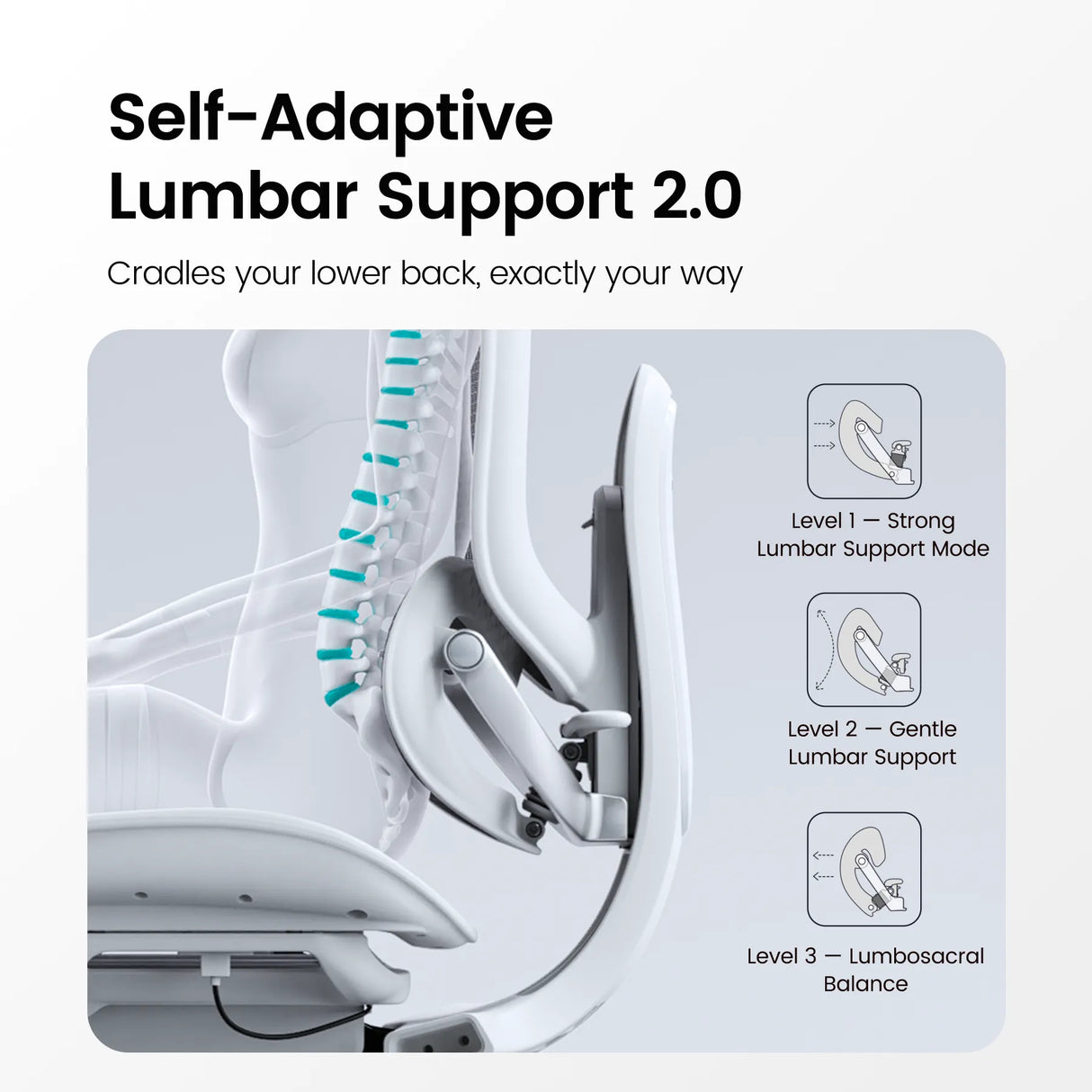 Doro C300 Pro V2 Full-Body Adaptive Ergonomic Chair