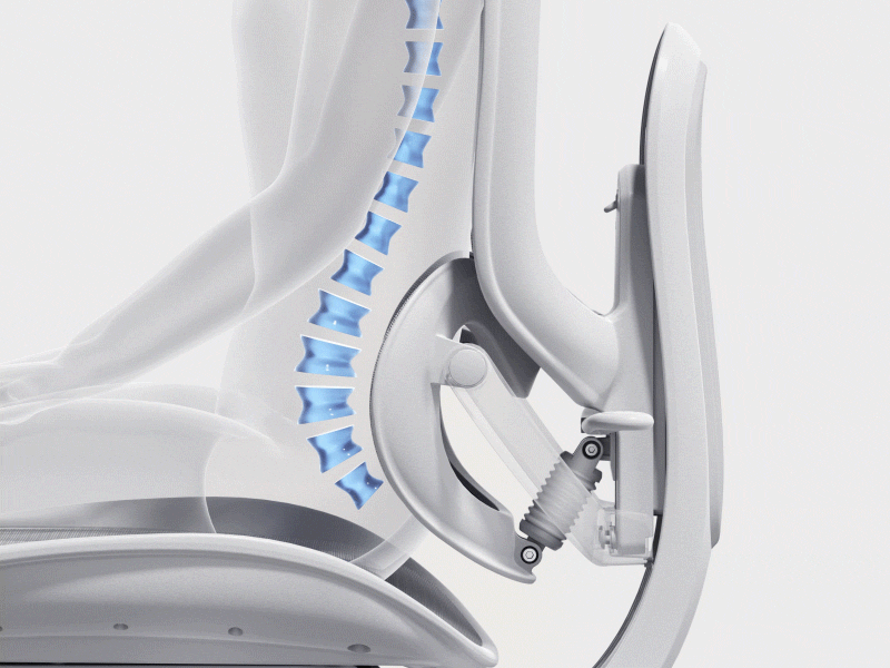 Domino™ Sacral-Lumbar Support
