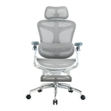 Sihoo Doro C300 Pro Ergonomic Office Chair