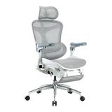 Sihoo Doro C300 Pro Ergonomic Office Chair