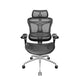Sihoo Doro C300 Pro Ergonomic Office Chair